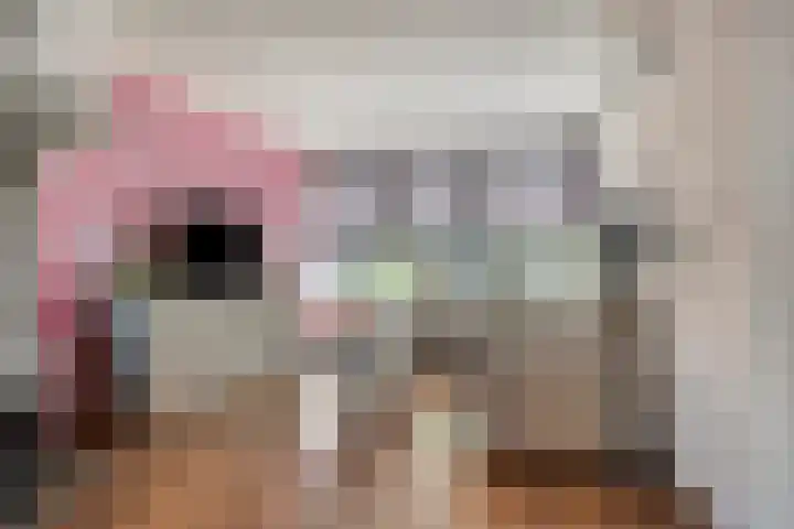 Kievitstraat 13 Goor thumbnail 5