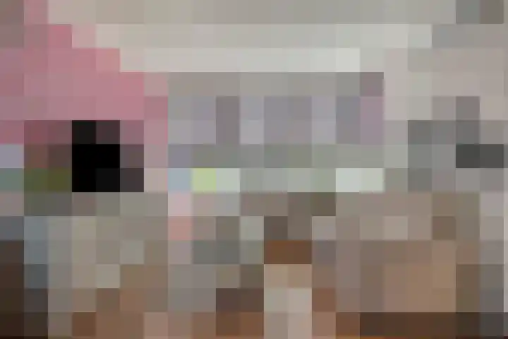 Kievitstraat 13 Goor thumbnail 6