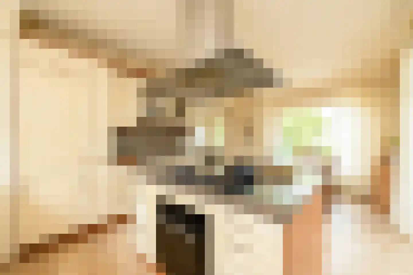 Kievitstraat 13 Woerden thumbnail 25