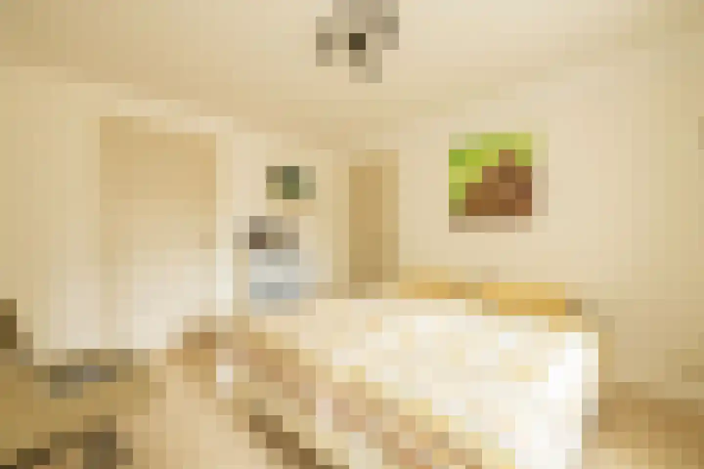 Kievitstraat 13 Woerden thumbnail 31