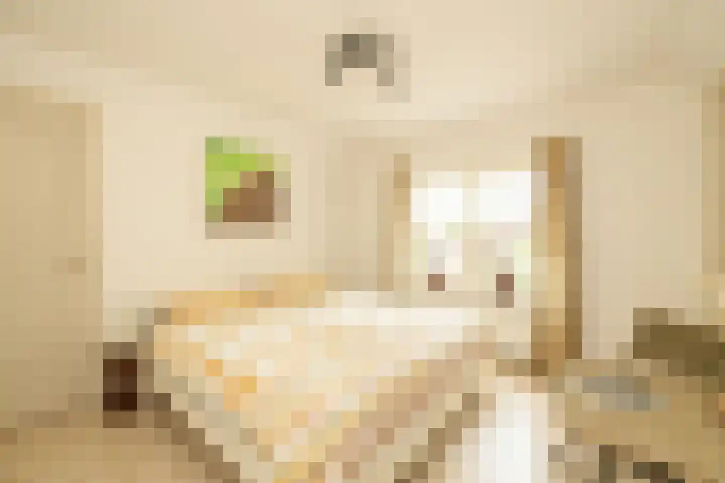 Kievitstraat 13 Woerden thumbnail 32