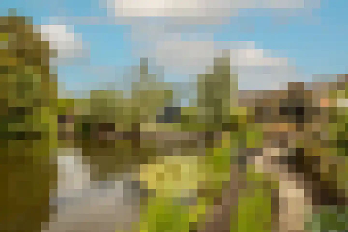 Kievitstraat 13 Woerden thumbnail 47