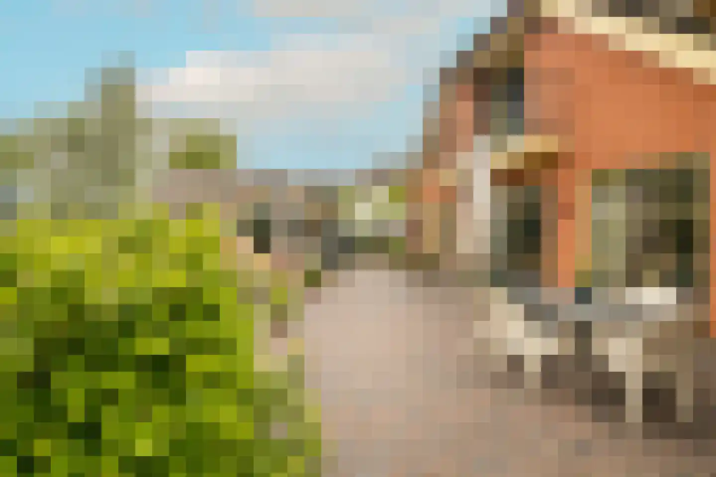 Kievitstraat 13 Woerden thumbnail 51