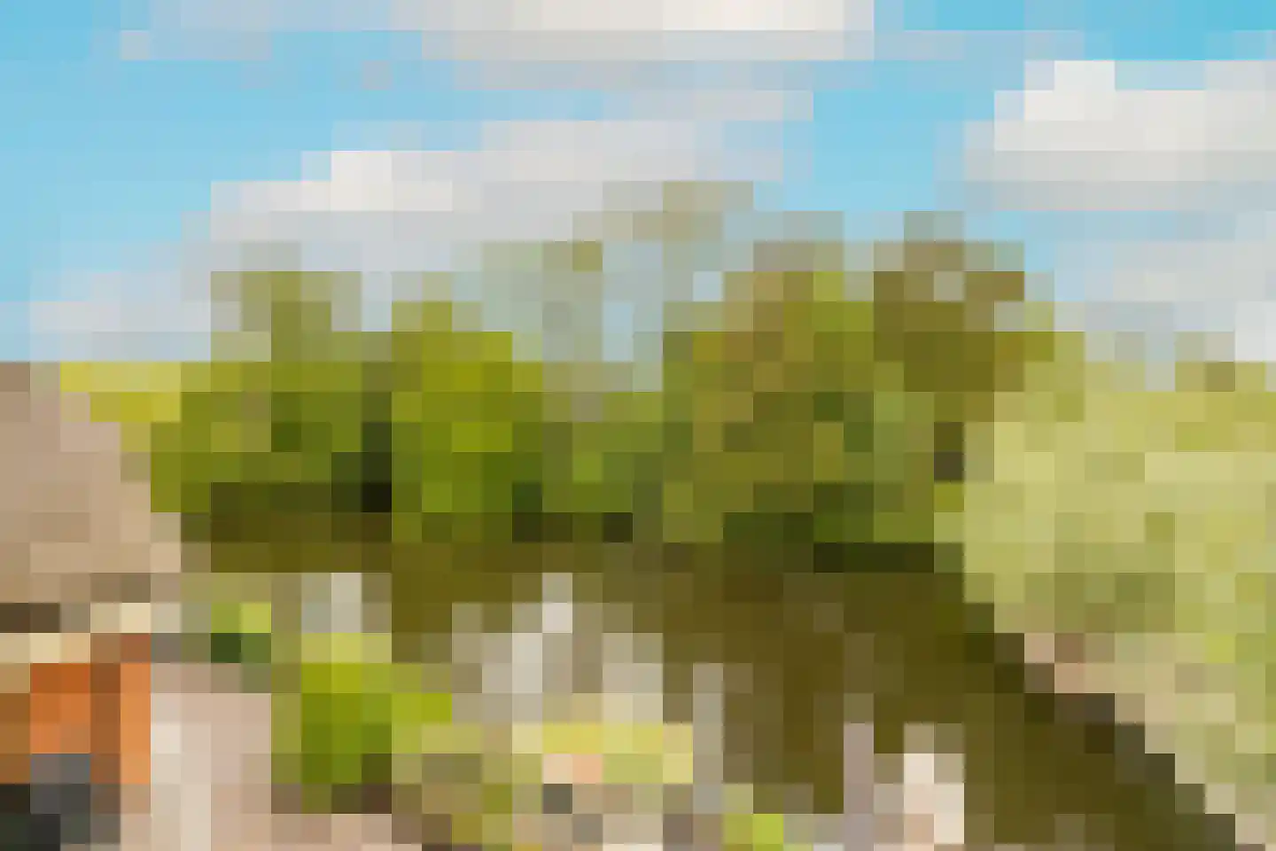 Kievitstraat 13 Woerden thumbnail 6