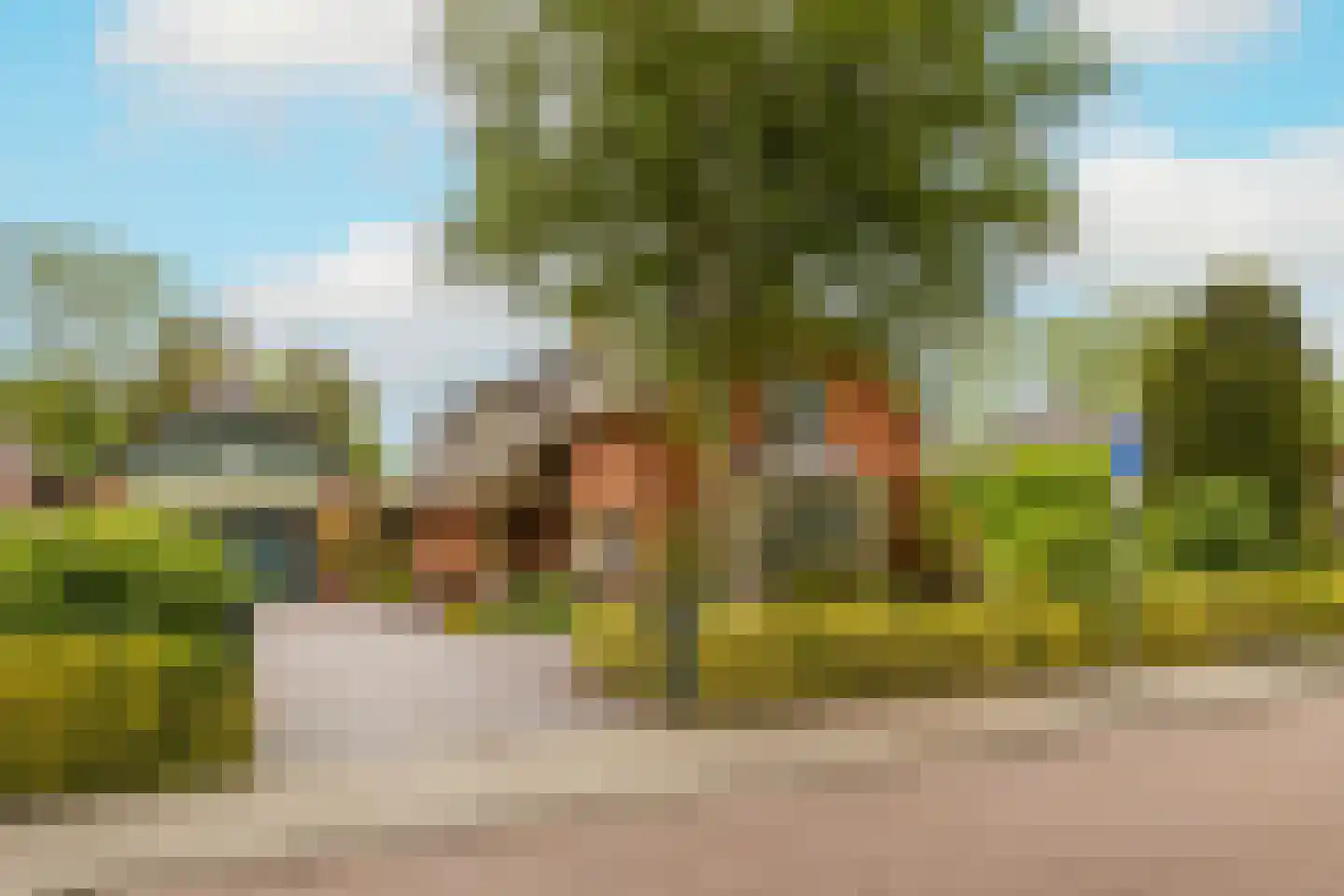 Kievitstraat 13 Woerden thumbnail 60