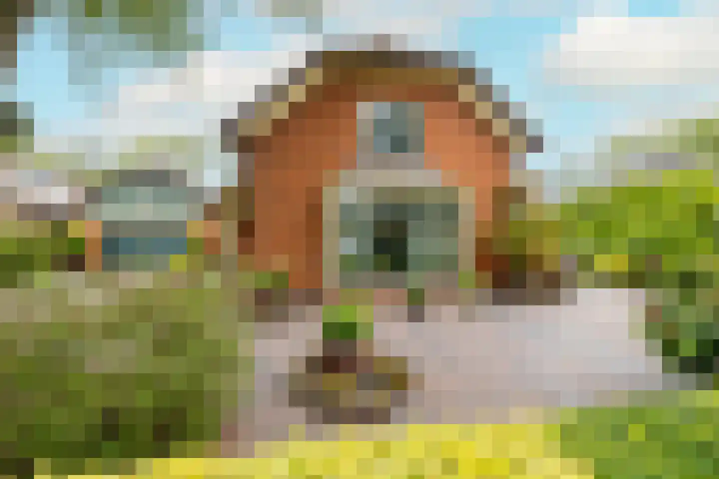 Kievitstraat 13 Woerden thumbnail 62