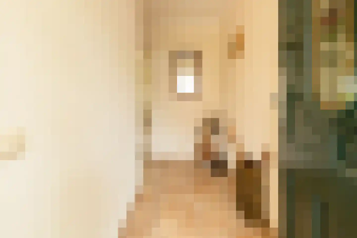 Kievitstraat 13 Woerden thumbnail 8