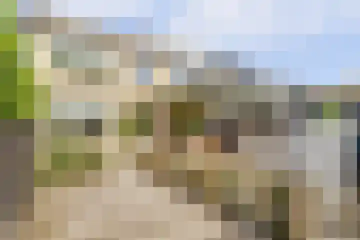 Kievitstraat 133 Ermelo thumbnail 33
