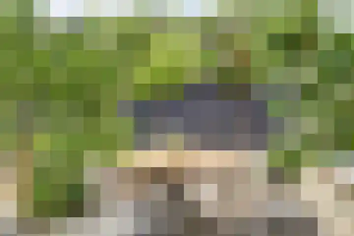 Kievitstraat 133 Ermelo thumbnail 38