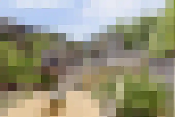 Kievitstraat 133 Ermelo thumbnail 4