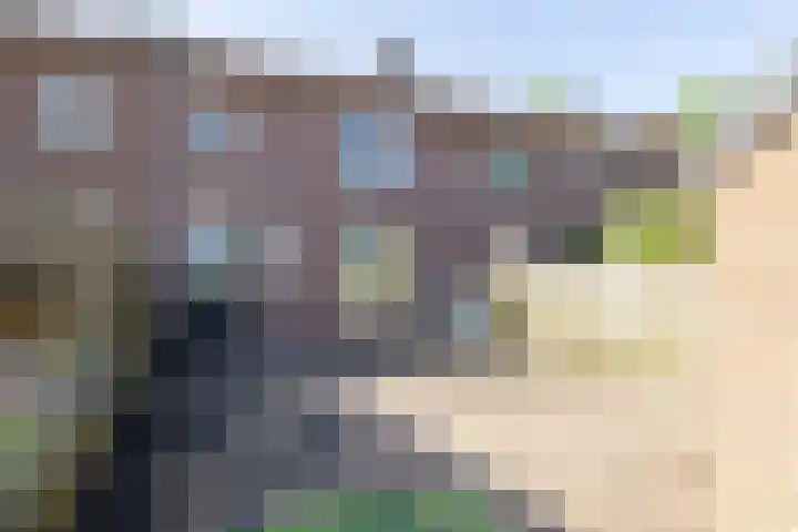 Kievitstraat 135 Den Helder thumbnail 12