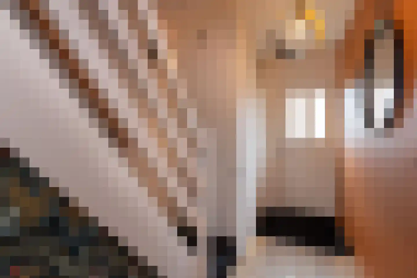 Kievitstraat 136 Neede thumbnail 18