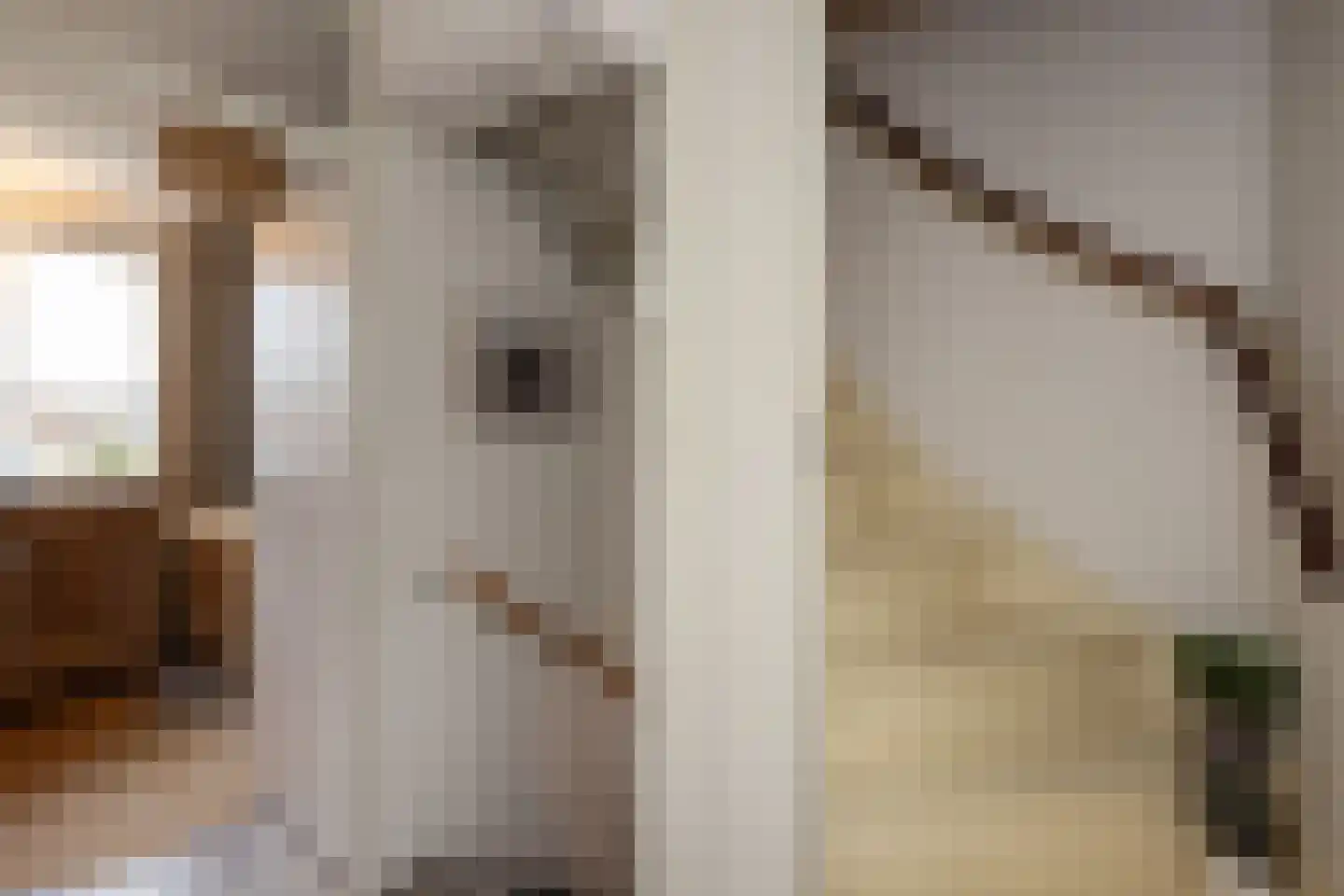 Kievitstraat 136 Neede thumbnail 19