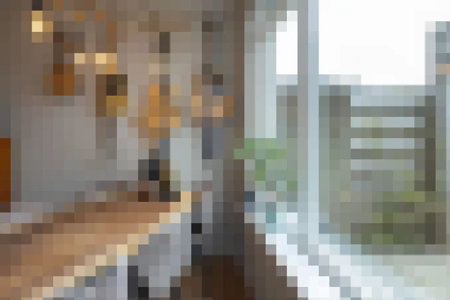 Kievitstraat 136 Neede thumbnail 9