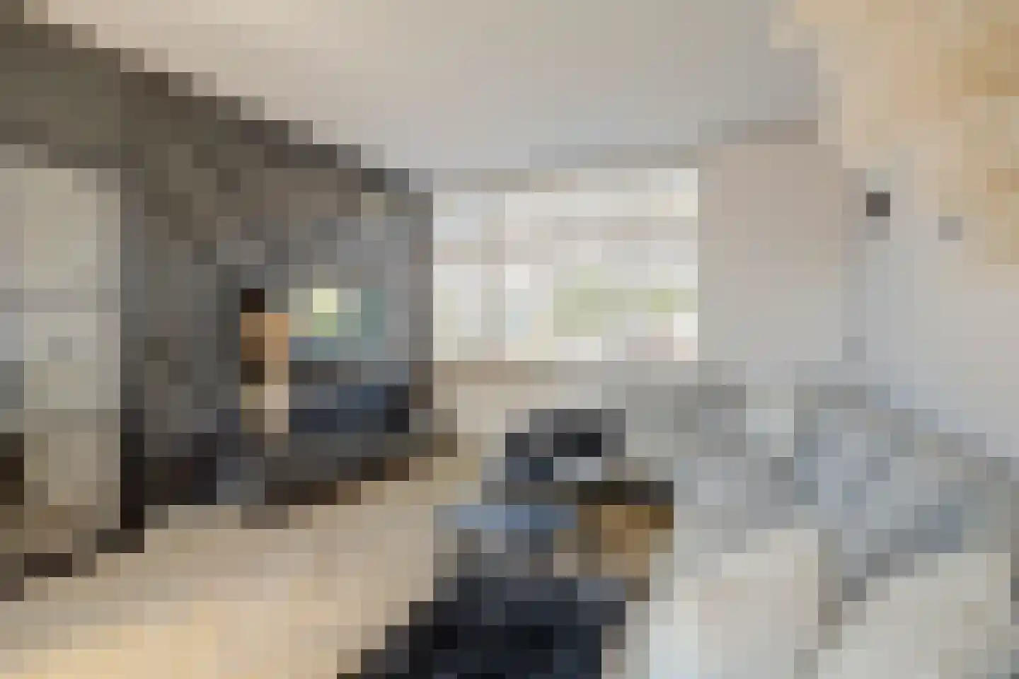 Kievitstraat 14 Hank thumbnail 16