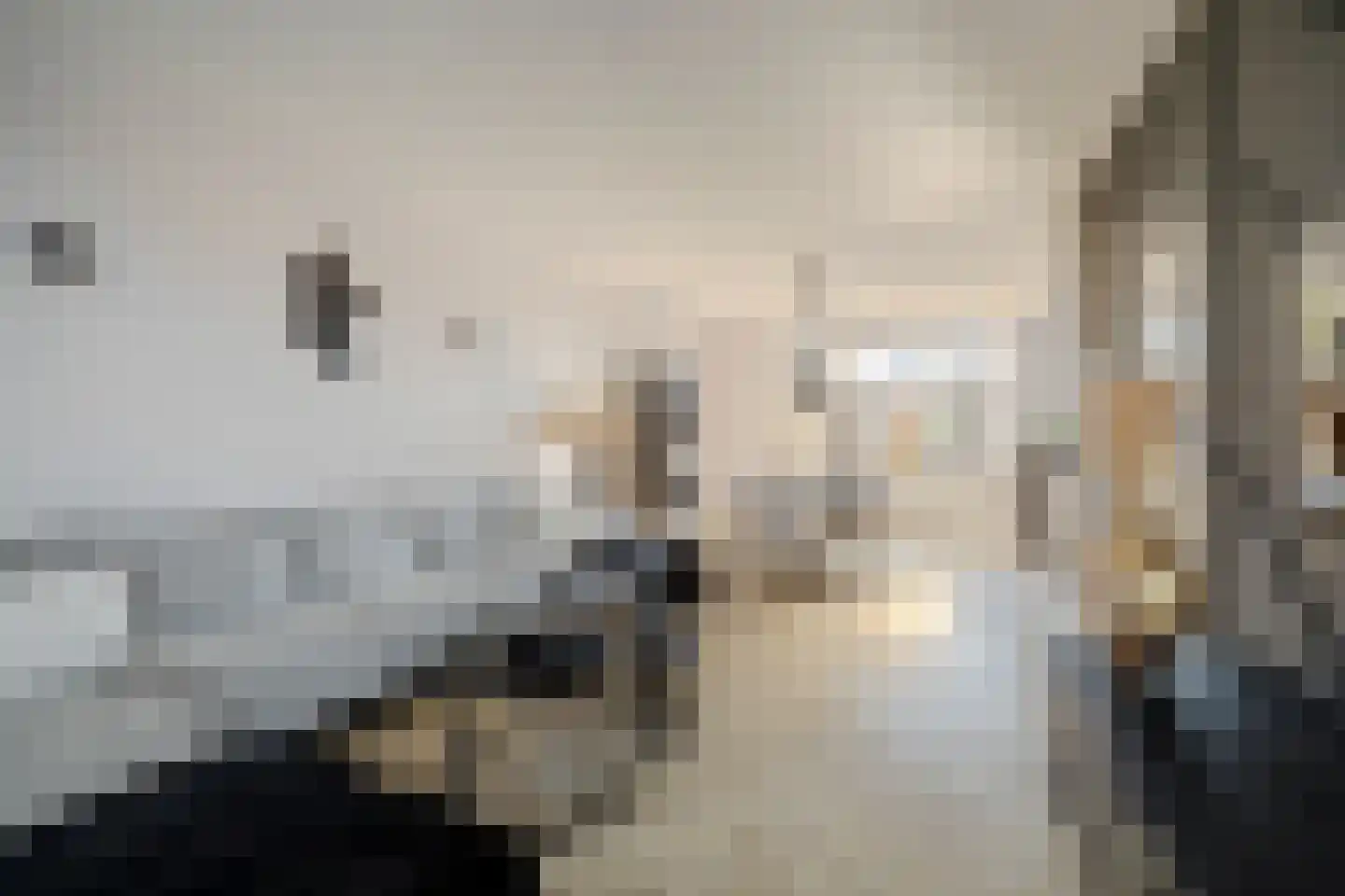 Kievitstraat 14 Hank thumbnail 17