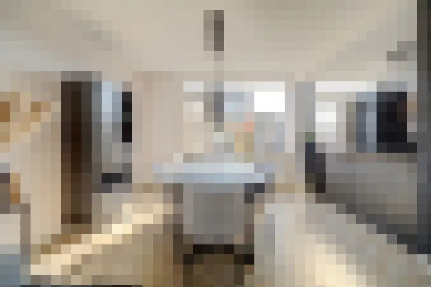 Kievitstraat 14 Hank thumbnail 18