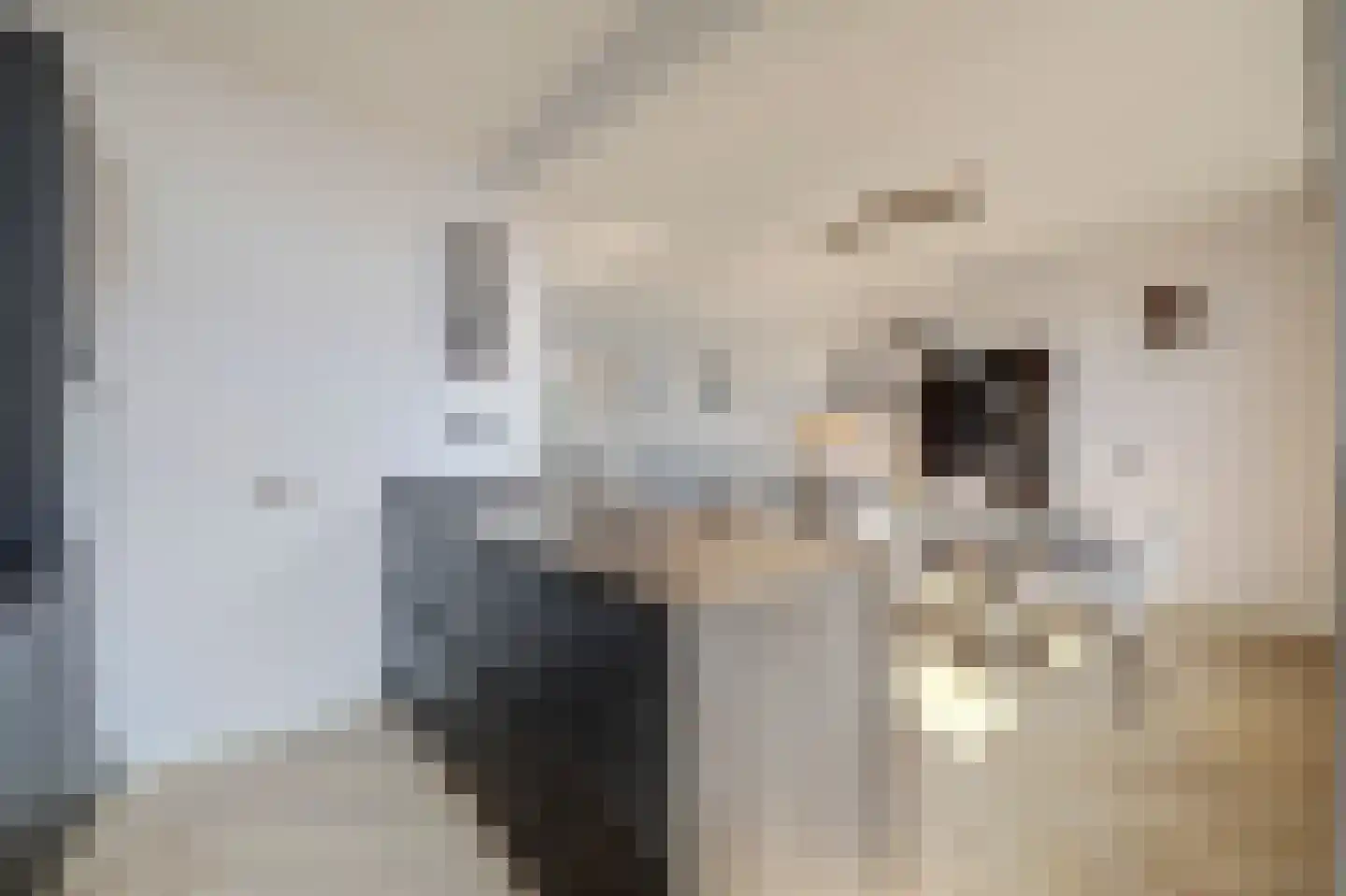 Kievitstraat 14 Hank thumbnail 22