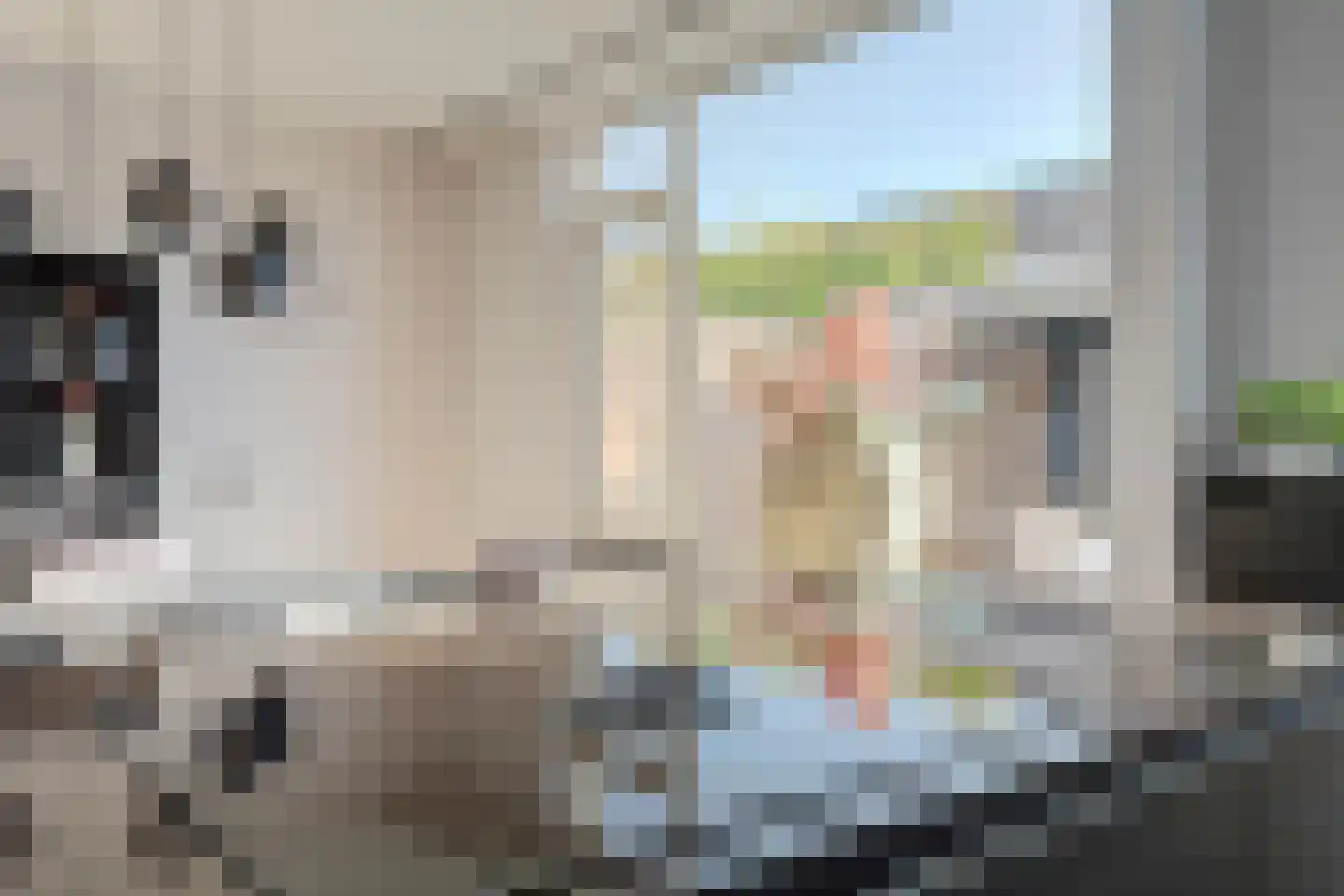 Kievitstraat 14 Hank thumbnail 23