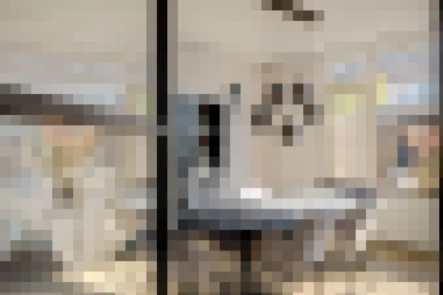 Kievitstraat 14 Hank thumbnail 4