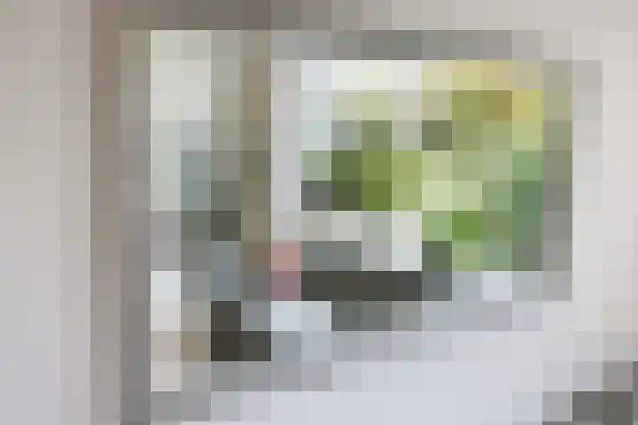 Kievitstraat 14 Woerden thumbnail 11