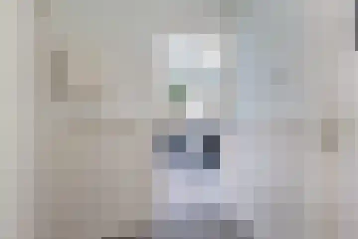 Kievitstraat 14 Woerden thumbnail 23