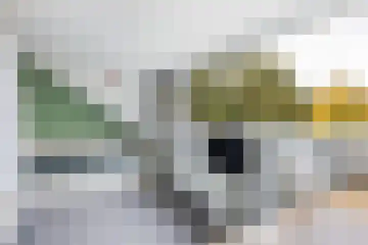 Kievitstraat 14 Woerden thumbnail 34