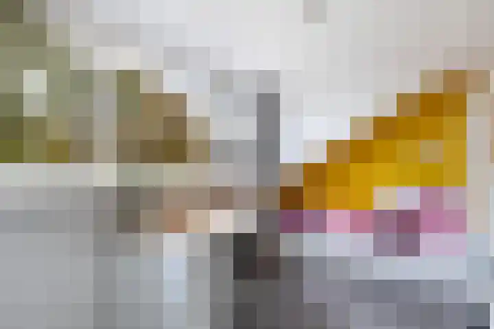 Kievitstraat 14 Woerden thumbnail 36