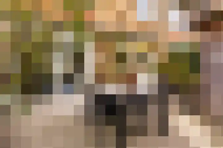Kievitstraat 14 Woerden thumbnail 39
