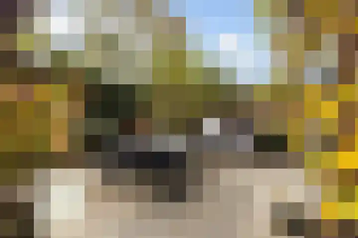Kievitstraat 14 Woerden thumbnail 40