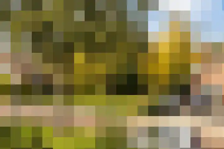 Kievitstraat 14 Woerden thumbnail 43