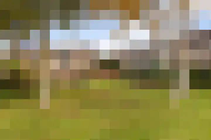 Kievitstraat 14 Woerden thumbnail 47