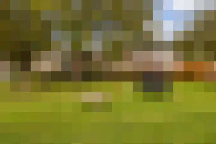 Kievitstraat 14 Woerden thumbnail 48