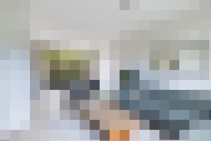Kievitstraat 14 Woerden thumbnail 9