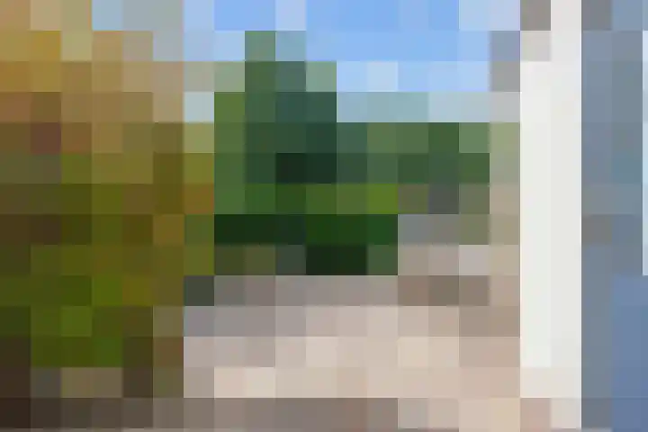 Kievitstraat 15 Ten Boer thumbnail 10