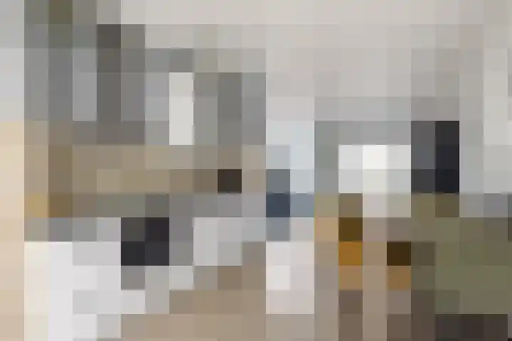 Kievitstraat 15 Ten Boer thumbnail 15