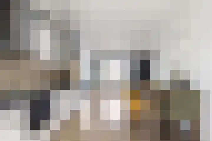 Kievitstraat 15 Ten Boer thumbnail 16