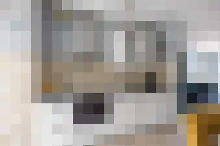 Kievitstraat 15 Ten Boer thumbnail 17