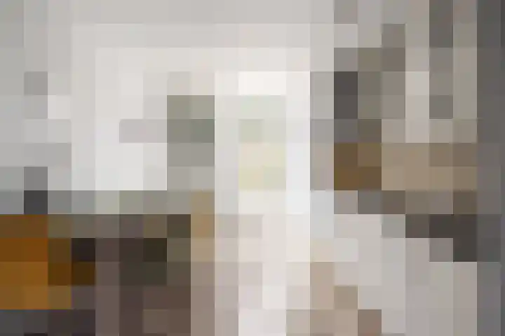 Kievitstraat 15 Ten Boer thumbnail 19