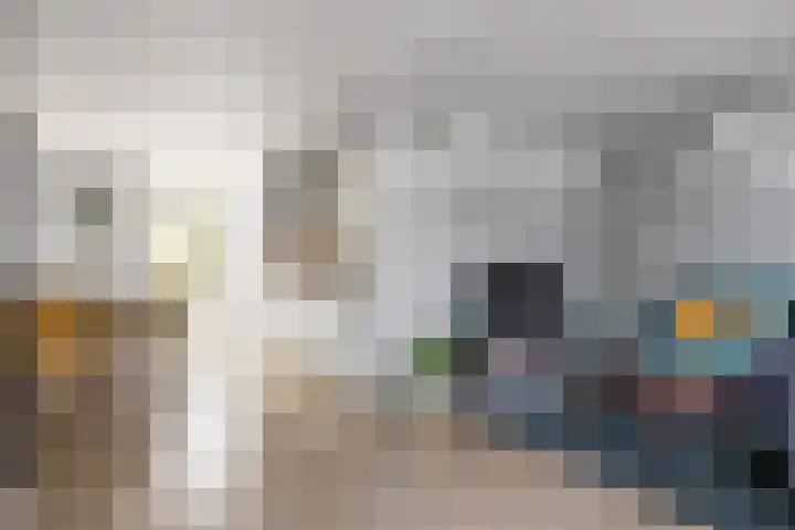 Kievitstraat 15 Ten Boer thumbnail 20