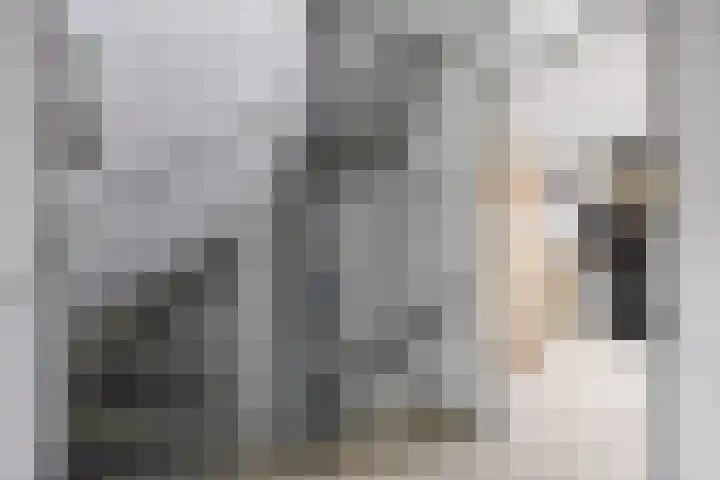 Kievitstraat 15 Ten Boer thumbnail 26