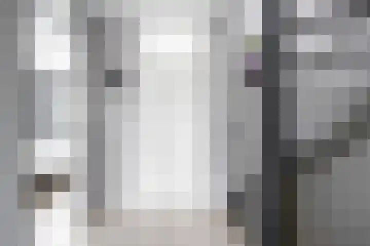 Kievitstraat 15 Ten Boer thumbnail 27