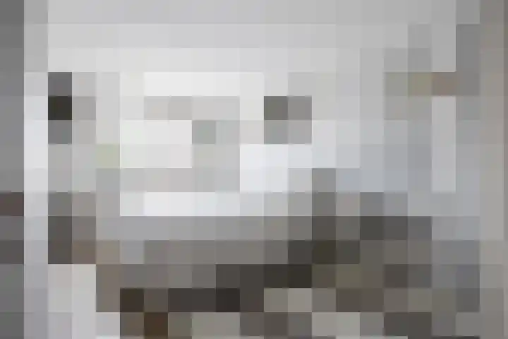 Kievitstraat 15 Ten Boer thumbnail 28