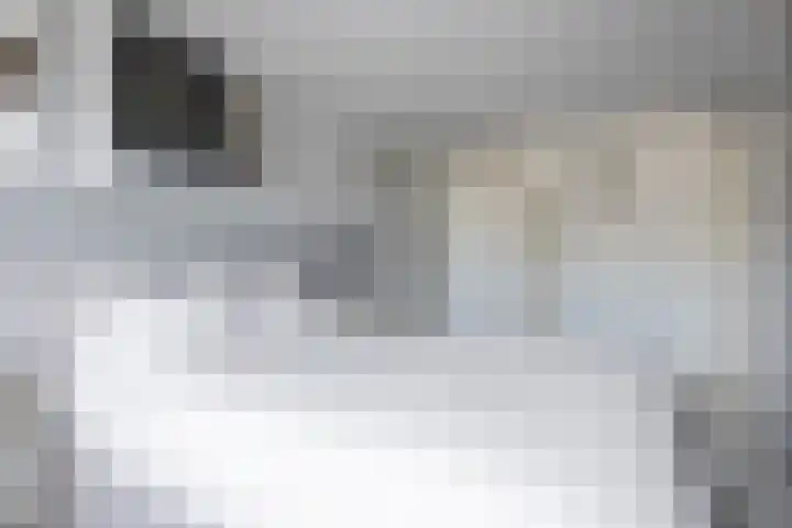 Kievitstraat 15 Ten Boer thumbnail 30