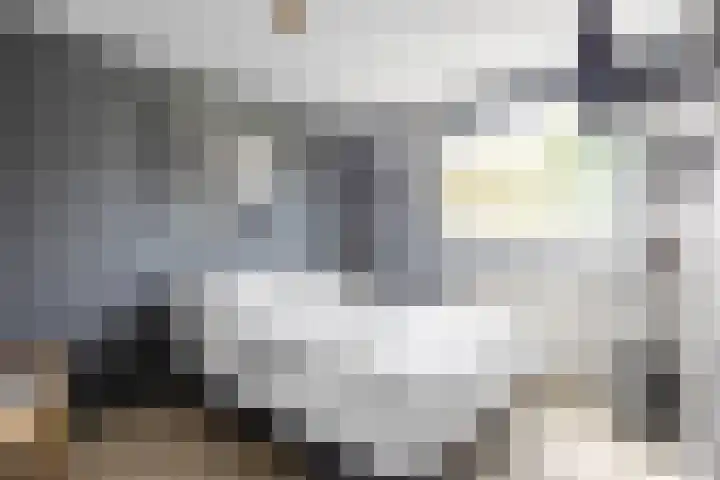 Kievitstraat 15 Ten Boer thumbnail 31
