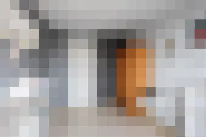 Kievitstraat 15 Ten Boer thumbnail 41