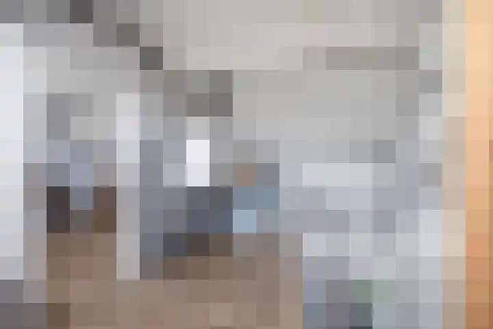 Kievitstraat 15 Ten Boer thumbnail 42