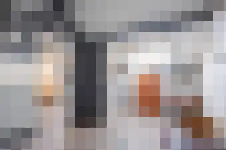 Kievitstraat 15 Ten Boer thumbnail 44