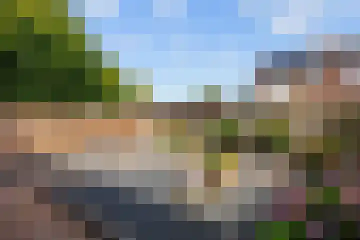 Kievitstraat 15 Ten Boer thumbnail 46