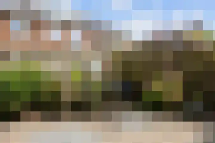 Kievitstraat 15 Ten Boer thumbnail 48